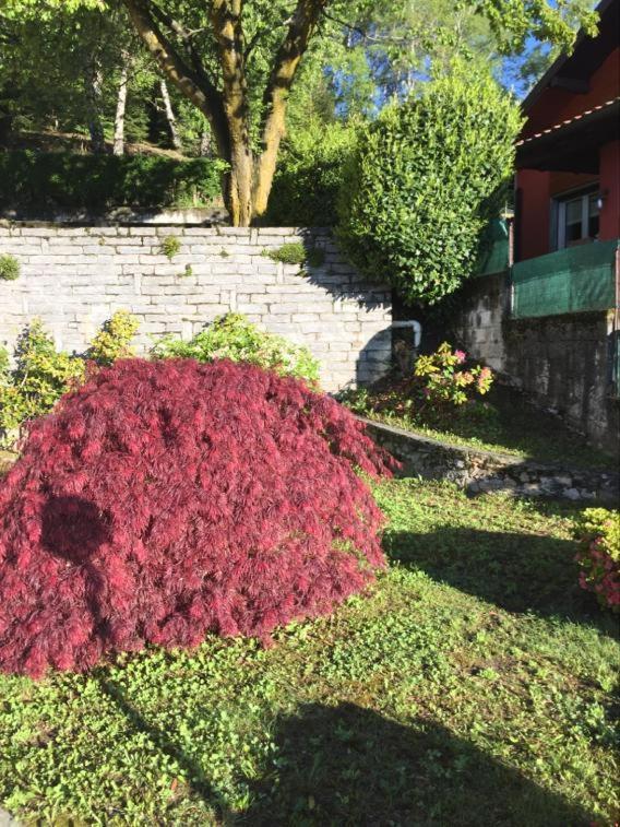 Villa Assunta Premeno ภายนอก รูปภาพ